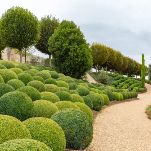 Boules